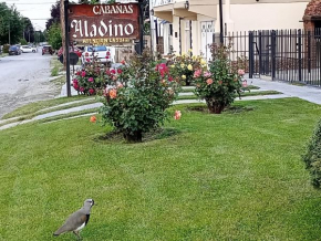 Aladino cabañas